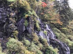 -望天鹅景区