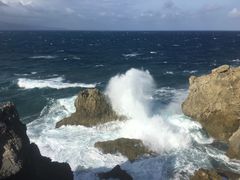 -龙坑生态保护区