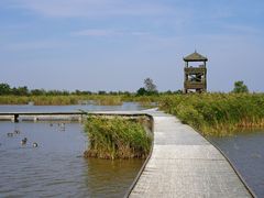 -盐城丹顶鹤湿地生态旅游区