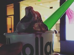-Salud撒露欧洲冻酸奶(蓝色港湾店)