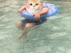 -龙达温泉生态城