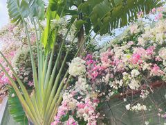 -深圳国际园林花卉博览园