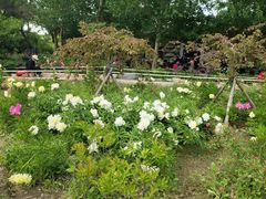 -长春公园(普阳街道)