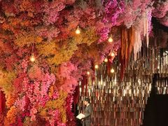 -怪咖·joker陈楠