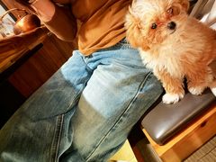 -牛道·和牛九食(市府恒隆广场店)