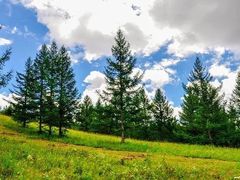 -塞罕坝国家级自然保护区