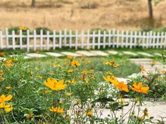 -南宁良凤江国家森林公园