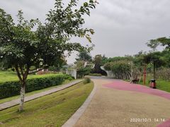 -眉山湿地公园(东坡区)
