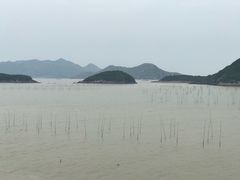 景点-花竹村