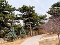 -北京西山国家森林公园