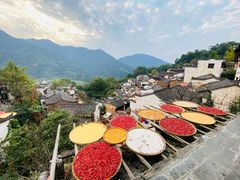 -婺源风景区
