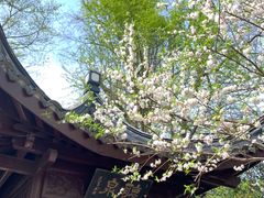 -南山风景名胜区