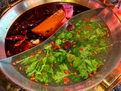 -蜀大侠火锅(森兰花园城店)