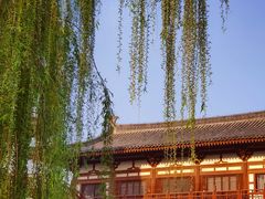-西安青龙寺遗址景区