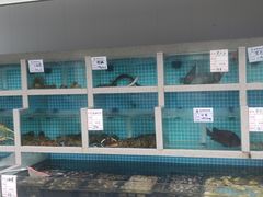 -海景花园海鲜餐厅(石老人店)