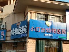 -小叮当动物医院·骨科·眼科