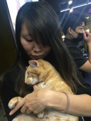 -木北造型