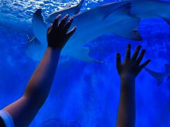 -太平洋海底世界