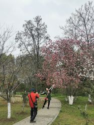 -玄武湖景区-情侣园游乐场