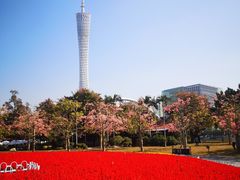 -二沙岛艺术公园