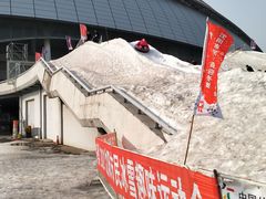 -沈阳奥体冰雪嘉年华