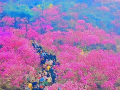 -青岛大珠山景区