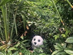 -成都市活水公园