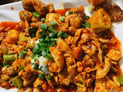 -老号尤兔头(幸福店)