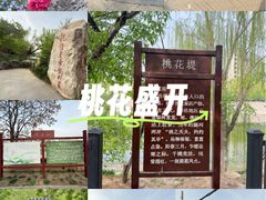 -桃花堤公园