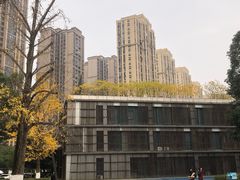 -龙头寺公园