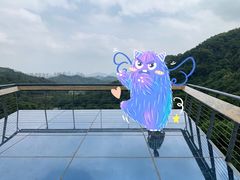 -阳台山森林公园