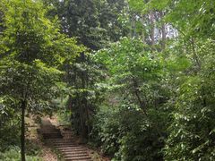 -凤栖山