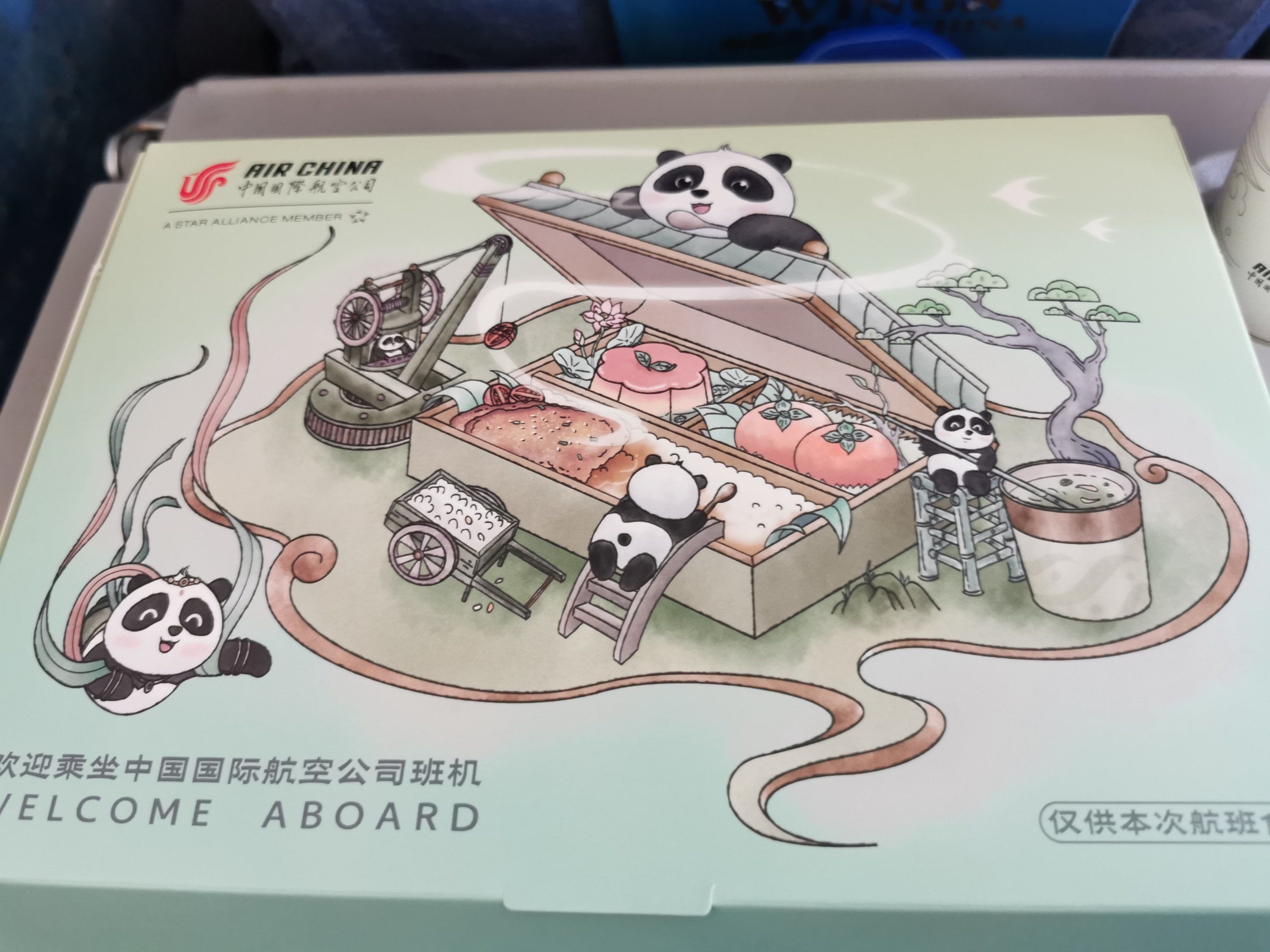 国航的飞机餐,还不错哦.猪肉豆角面,还配了一点火腿肠