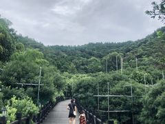 -树山生态村