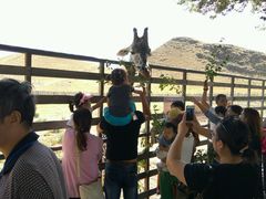 -新疆天山野生动物园