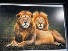 -罗红摄影艺术馆