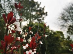 -瑶湖郊野森林公园