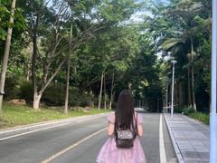 -东莞植物园