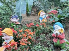 -石家庄市植物园