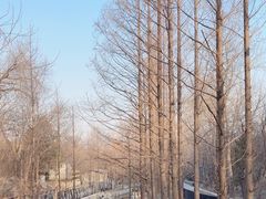 -白水寺森林公园