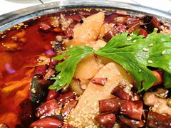 -晓彭肥肠鸡(茂业天地店)