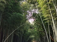 -同里国家湿地公园