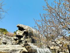 -北京西山国家森林公园