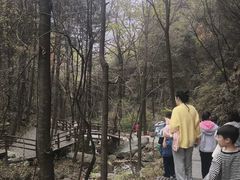 -王顺山国家森林公园