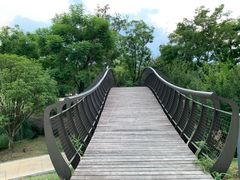 -府河摄影公园