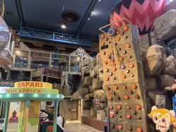 -卡通尼·Safari非洲探索乐园·生日会(金桥国际商业广场店)