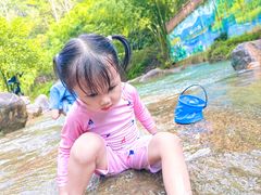 -广州白江湖森林公园