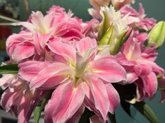 -南堂馆·新川菜(春熙路店)