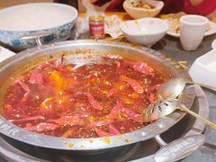 -一斗火锅·招财羊毛肚(北温泉九号店)
