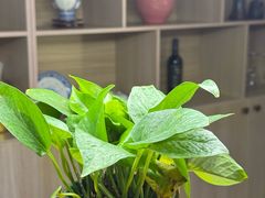 -耳域躺式采耳SPA馆(新街口店)